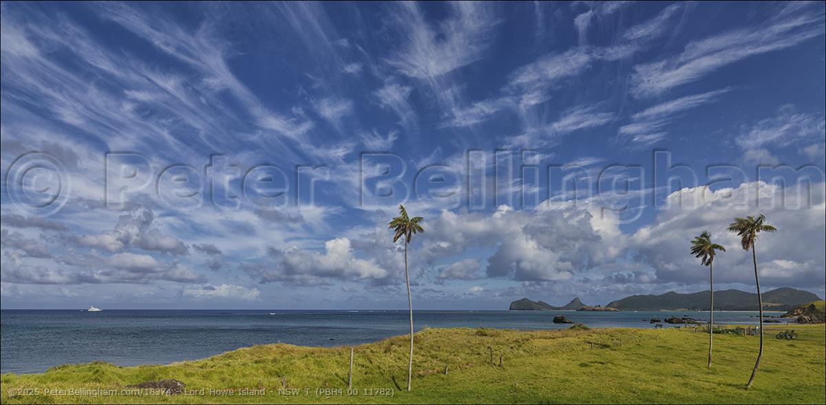 Peter Bellingham Photography Lord Howe Island - NSW T (PBH4 00 11782)